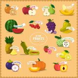 ภาพเวกเตอร์ - ภาพประกอบ ผลไม้ประเภท ต่างๆ  ( สามารถ ดาวน์โหลดภาพประกอบ ได้ฟรี)--- Different Kinds of Fruit Vector Stock Set Illustrations (Free Download Illustrations)